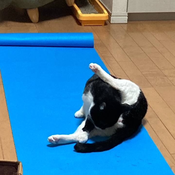 Af572992 e0c9 4877 820e bf9762897fee 1657176473985