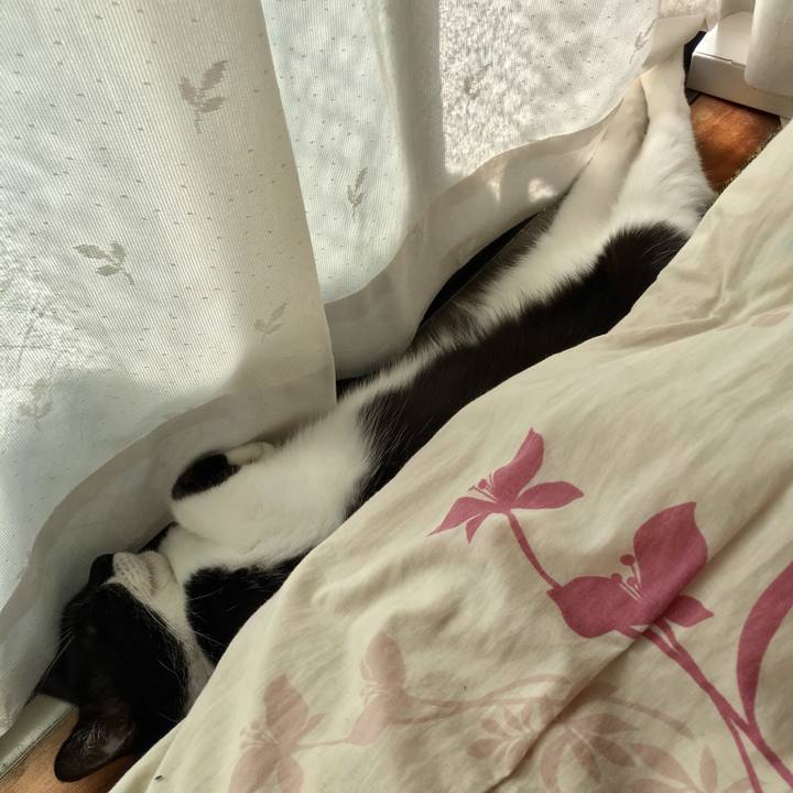 Af572ca1 f35c 45b0 a03a 135c8dab6e4d 1540441290668