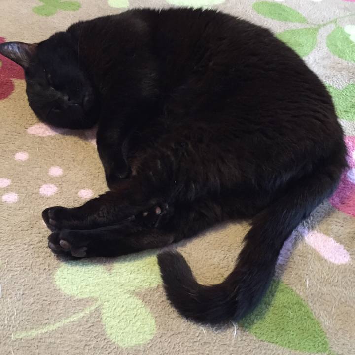 Af57408a fa3e 47ab 9793 fa6a7f2f36a0 1524436663519