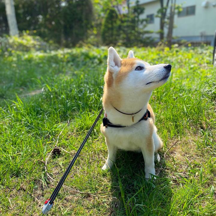 Af574819 9b1d 4c37 bea5 ef465ded1d2a 1653450071611