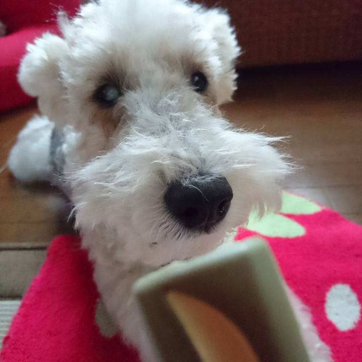 Af574c44 88d0 42c1 bf2d ea1df7d1718e 1510979877510