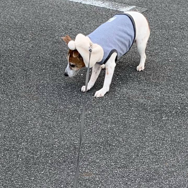 Af576185 6167 494f 8f2f 2f6a2da802cf 1578097290062