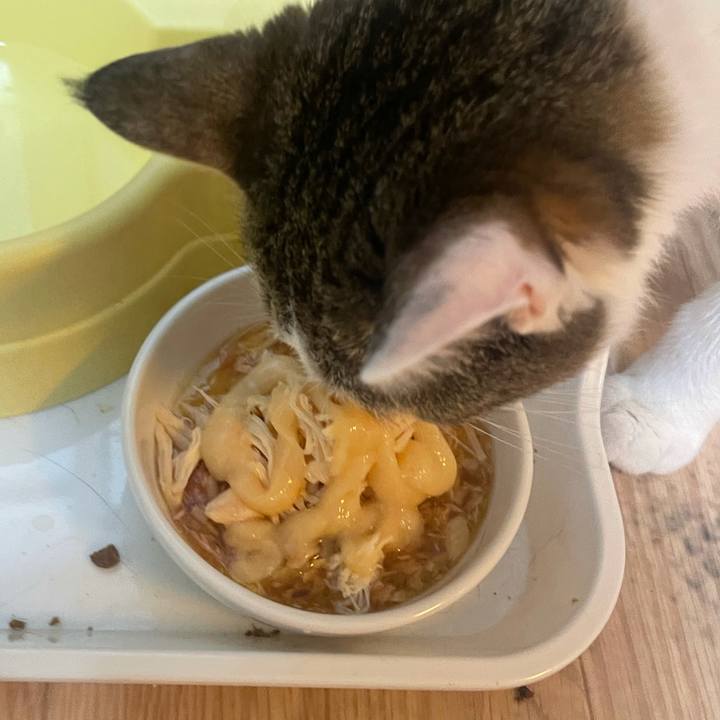 Af576d5e 8eb3 49b8 b056 5fcdfa4c8f71 1628420074907