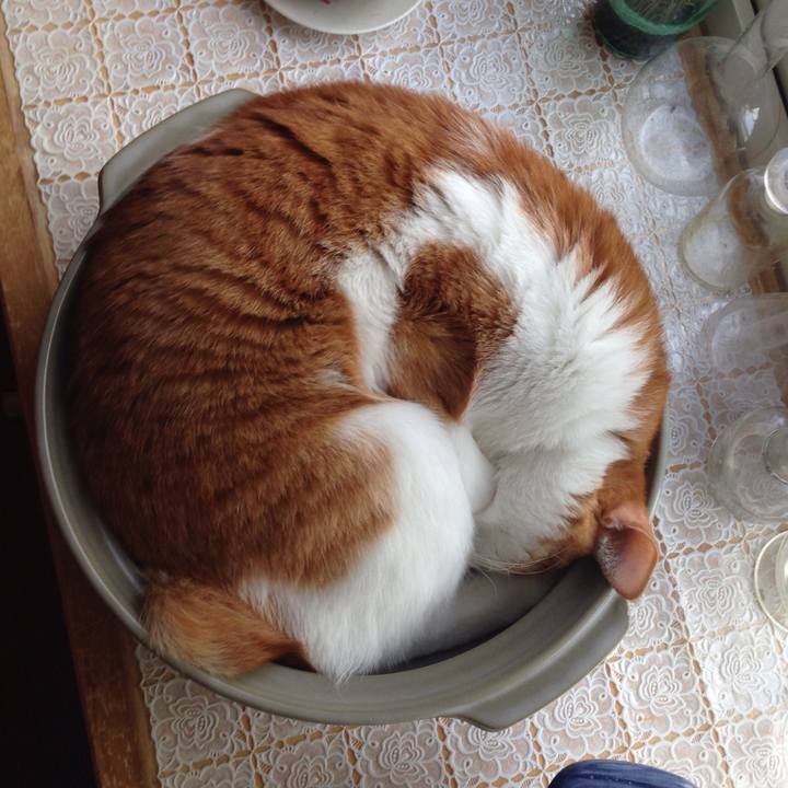 Af576db1 5eae 4f27 b461 535501013305 1511392087641