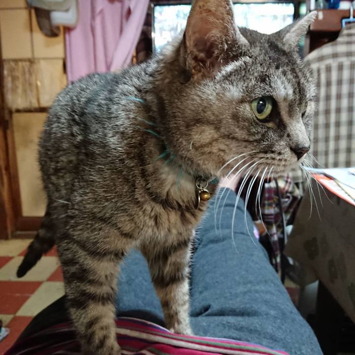 Af577780 c3d0 4701 919f 1127a86207ab 1575632389117