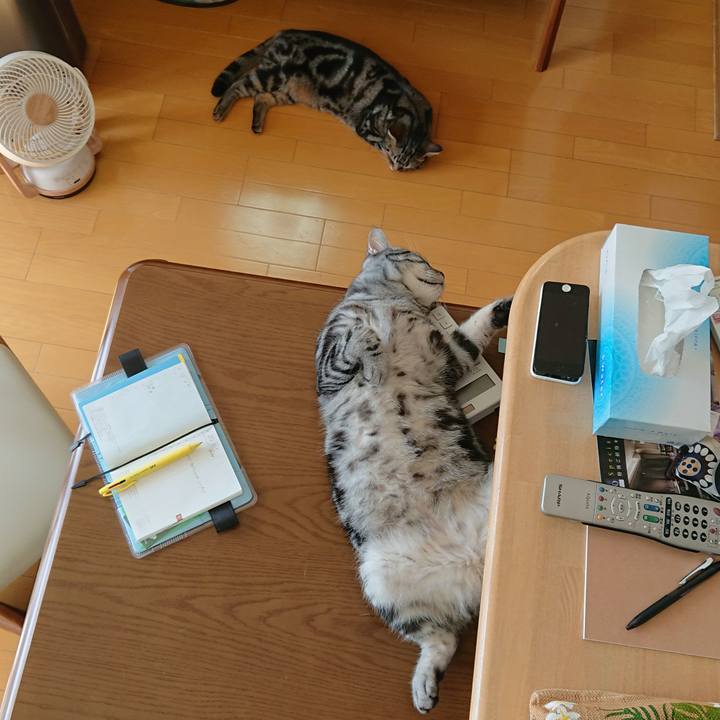 Af57ac33 af5c 47a3 9afd 90b78a4240aa 1537334081801