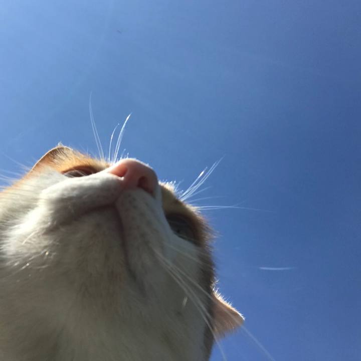 Af57af23 36e1 4187 9611 6e64a7d473a4 1508204872858