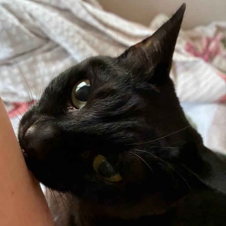 Af57b2c6 5877 4fde bd78 33d618429630 1775249901409