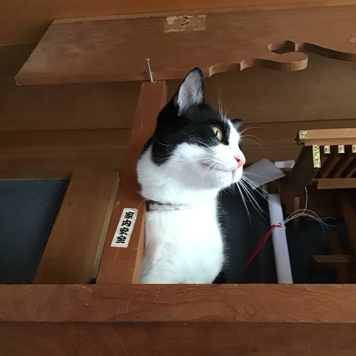 Af57c71b 3210 49ba a131 4afe51953ad7 1655780787219