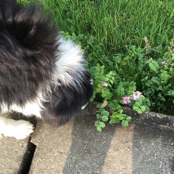 Af57e255 0675 4c91 811b 24da5f8ef72e 1552355317691