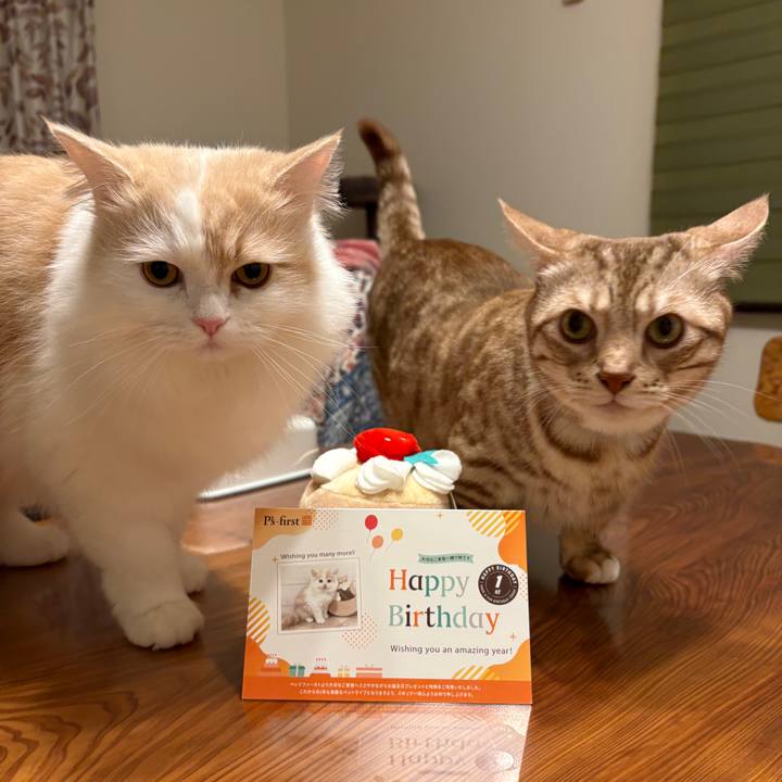 Af57e861 3d07 4037 89cc 5551c702b660 1764242240168