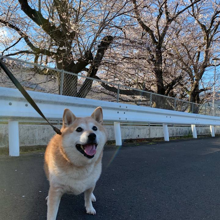 Af580e58 1c1e 480a 9101 e2e36cdc77e0 1554193476458