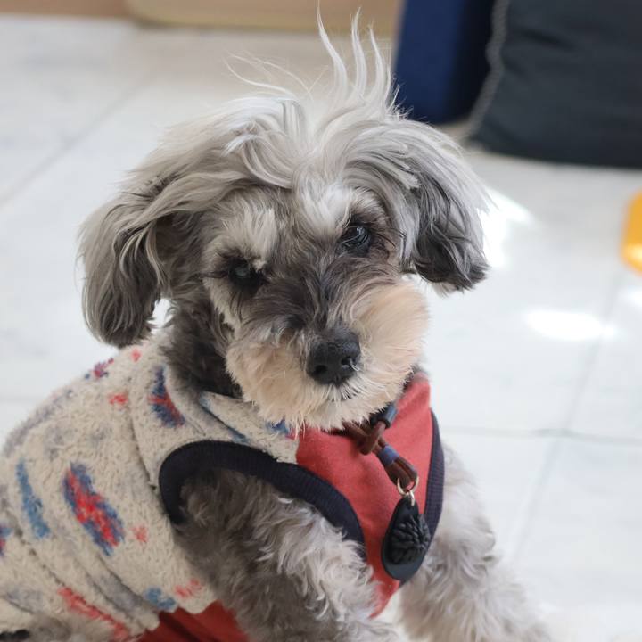 Af581f58 8907 4dcd aedc f84ecfdcb870 1772337509517