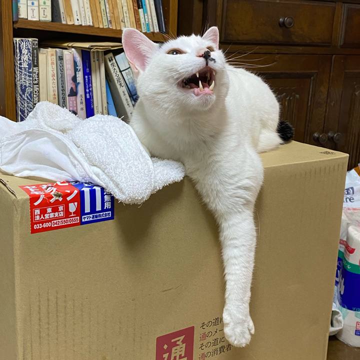 Af5829cc 413b 428c 8d07 14b4bb59473c 1618663242524