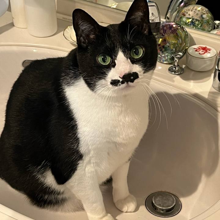 Af584716 1fb7 4475 8b6e 00b58e0c60a3 1773008889526