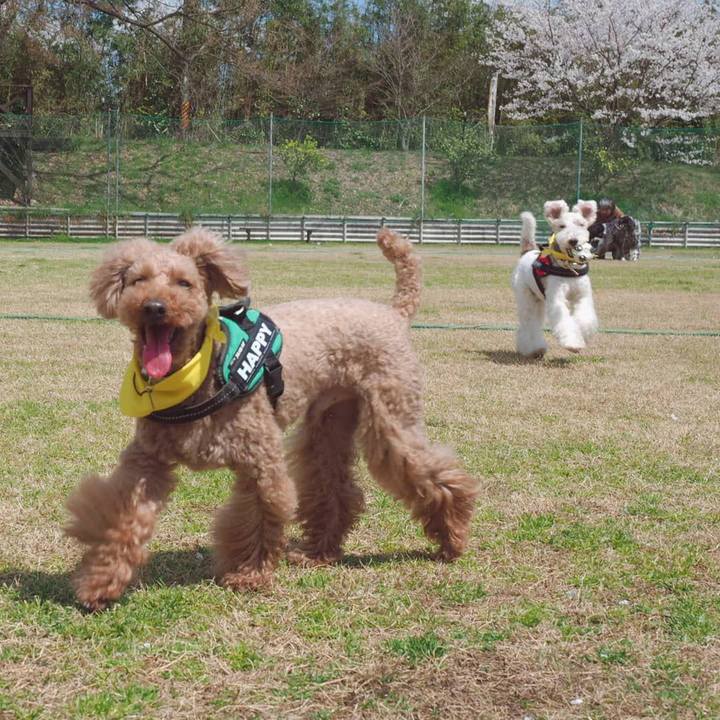 Af586846 edc9 42e7 b344 aa0935b73ce2 1554940563147