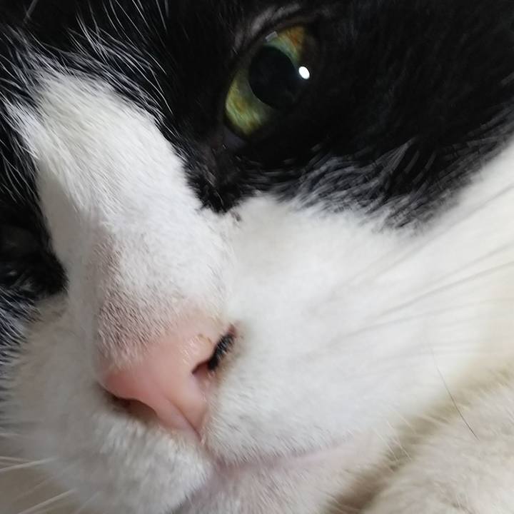 Af586bda b77d 44c1 96b5 ef71d4172e4d 1552563859498