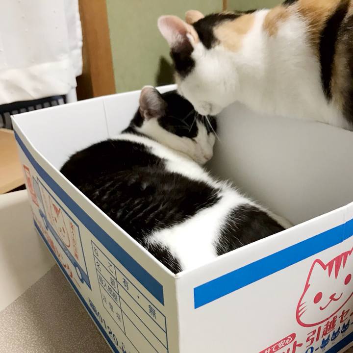 Af586be6 bc3a 46b2 b445 f48c30b715ba 1535726141823