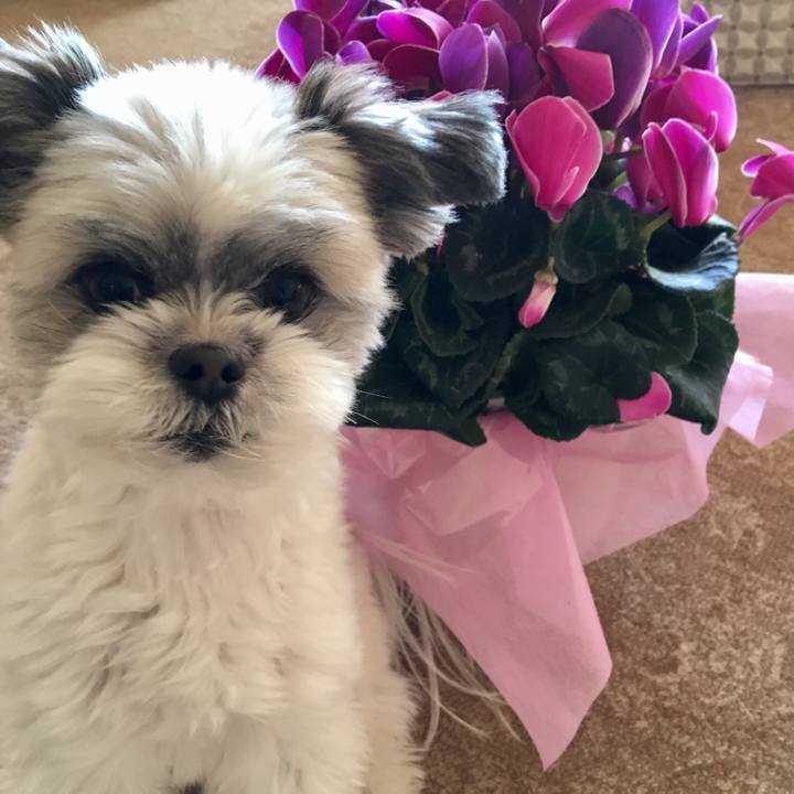 Af587e31 6c39 407f bf52 baa033429d00 1517355035377