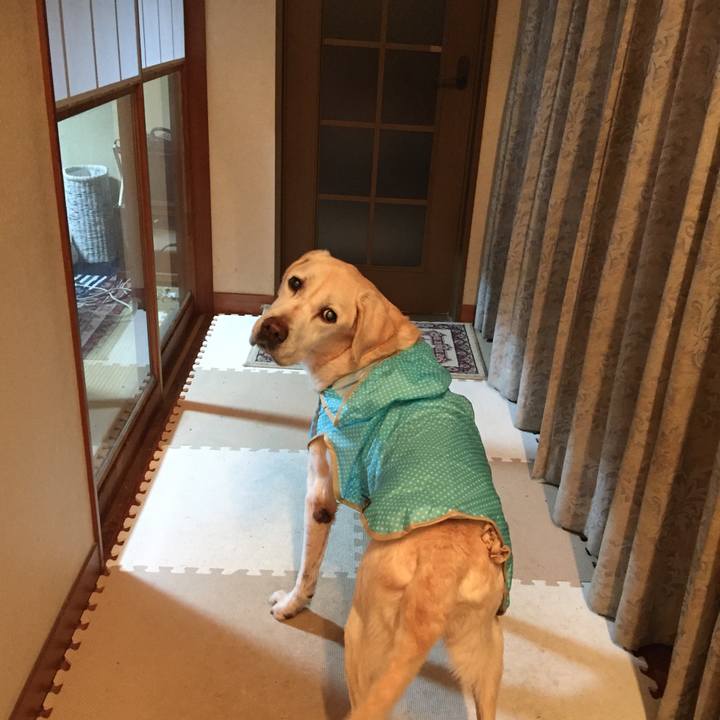 Af58b156 94d9 4bda a8d1 fd52bb0f97ae 1544825050310