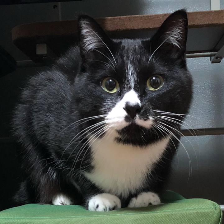 Af58bd7b 7ac1 4d33 a5cb 95259c8eab76 1643340084404