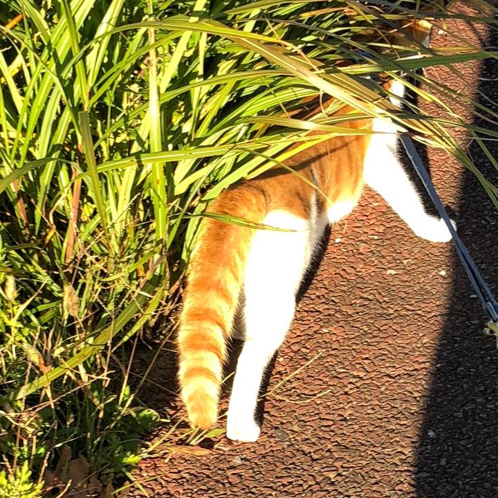 Af58c460 96ed 4fa1 b7b5 4ec64851047e 1541054843937