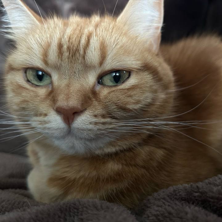 Af58dcff 998d 4927 af62 9f9b47f80f2d 1774683286201