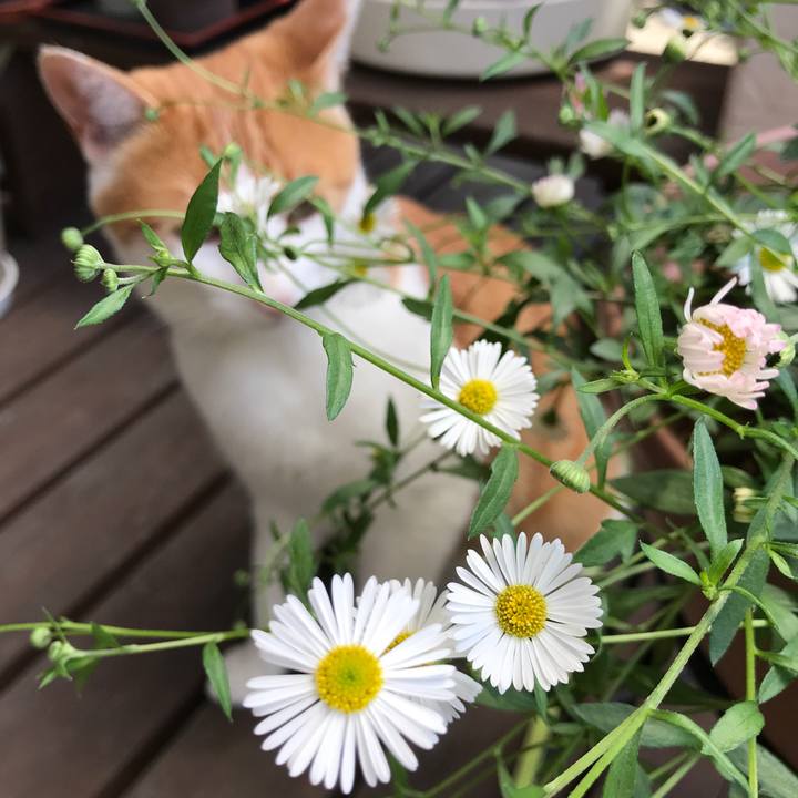 Af58e2f7 55ce 48cb 84df 4aa18d19e350 1526868784065