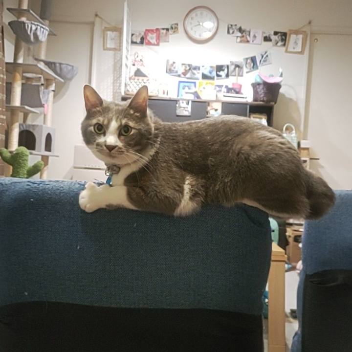 Af58e439 5fc5 4052 afa8 88f373a9ed27 1689679967565