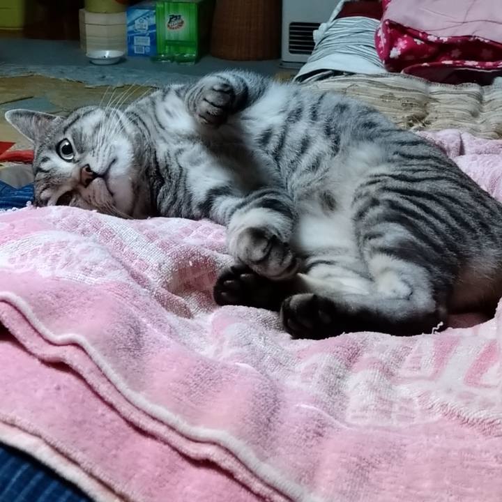 Af58e8f7 4ef0 424b 92d6 b3b1ba94d0b1 1673440939122