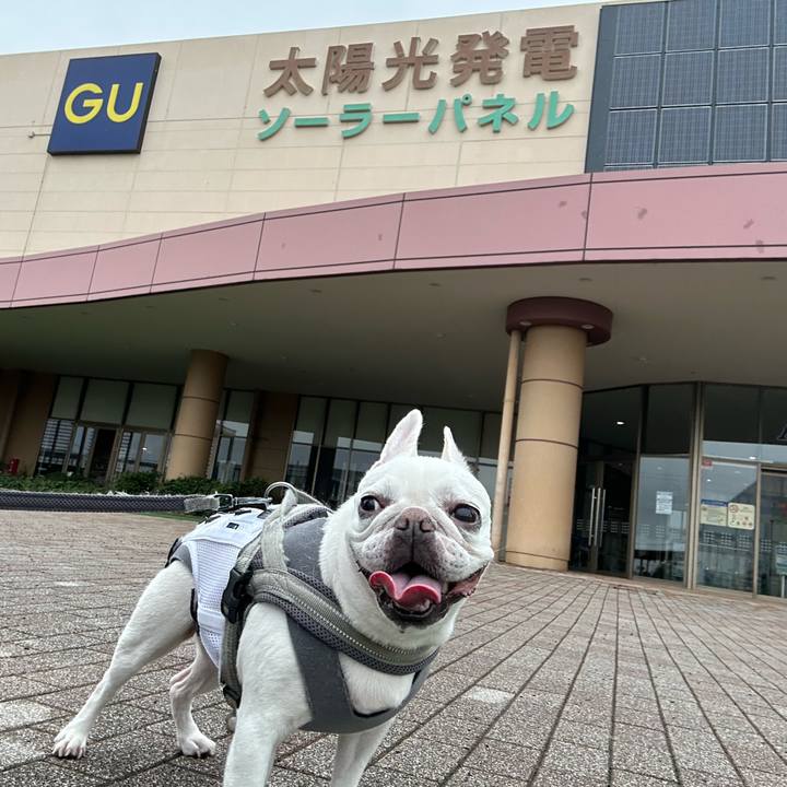 Af595ca1 13e8 4cd0 a3ee ddacd0302624 1695473078249