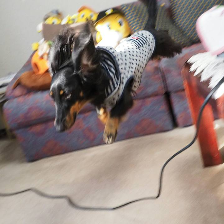 Af596b55 342f 451a a4bf 6dda33dcc527 1508981438788