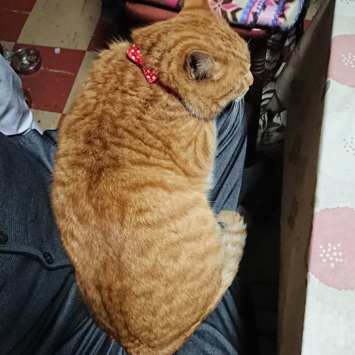 Af59a5f2 ff32 4543 a4f5 ab5565e9ed95 1577438194755