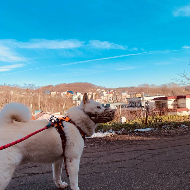 Af59e9f0 618d 42c5 86a3 081345589491 1639106730764