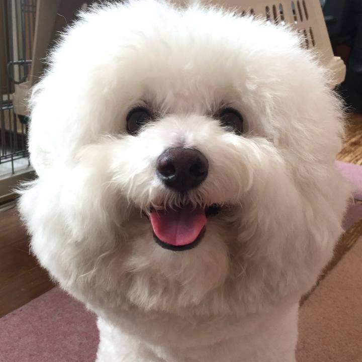 Af5a5b8f d68d 47e5 aff7 1e8c555f4cf0 1731917364489