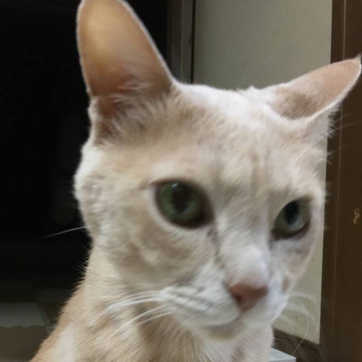 Af5a6c61 fe86 42f9 89b5 d4c8c9f9e92e 1640262915947