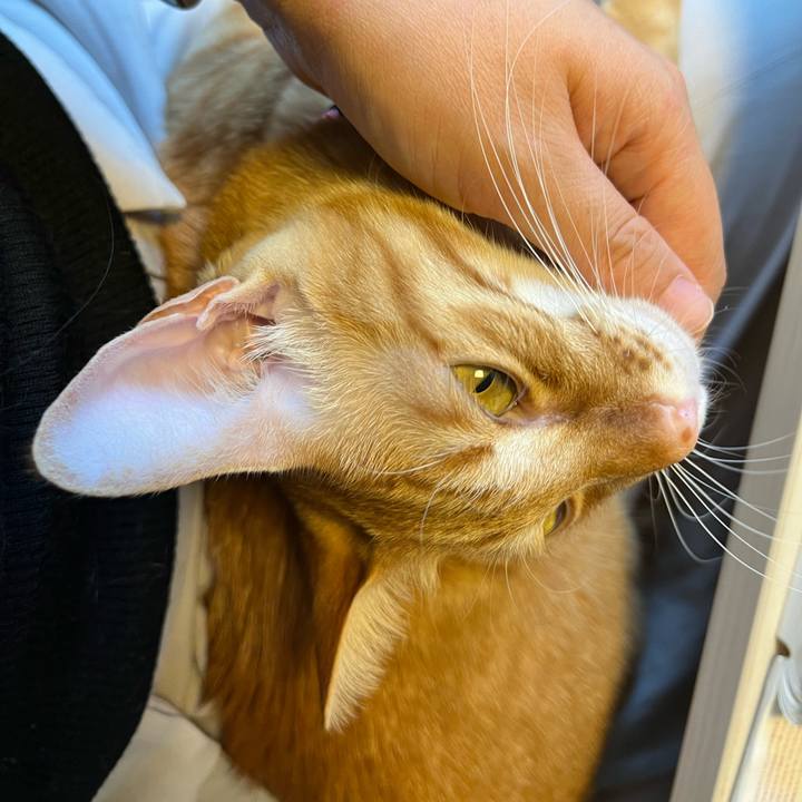 Af5a8705 9fc5 4152 aec8 d164ce452cdd 1646697490211