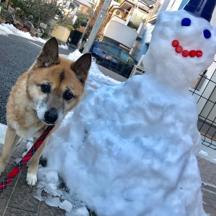 Af5a8e66 3c07 4866 9a0c 07a8e318e711 1517008320289