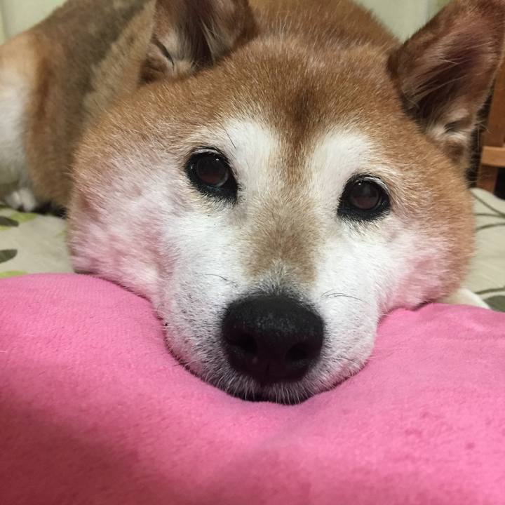 Af5adc03 3ae5 499a 8923 74f6e4467e5e 1524834216187