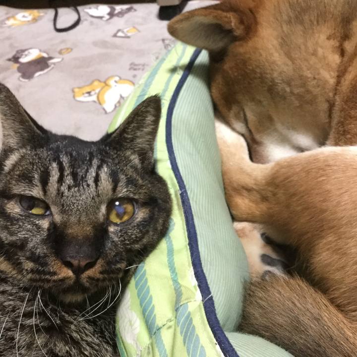 Af5b1c83 3e6d 4488 92d8 ec05e085ce0d 1610750602908