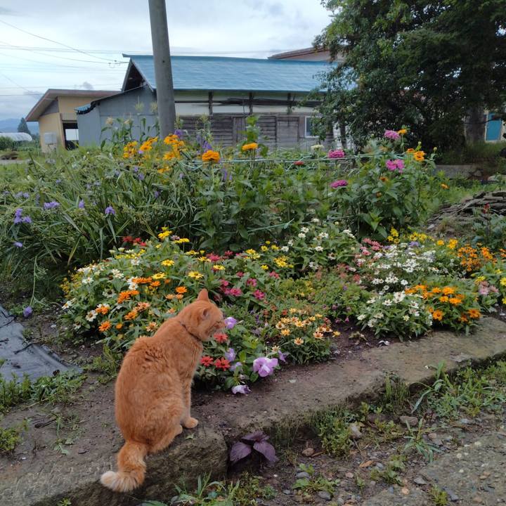 Af5bb282 1124 435a 8631 4202cbbf7e2f 1720478015757