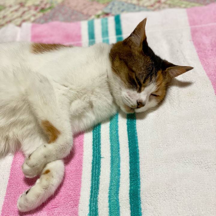 Af5bbc09 aefc 4c9c b734 8ae1e55a1172 1622380895560