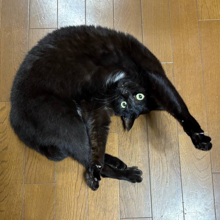 Af5c62ce e2f6 470c a521 ba379bebe5b0 1766658545313