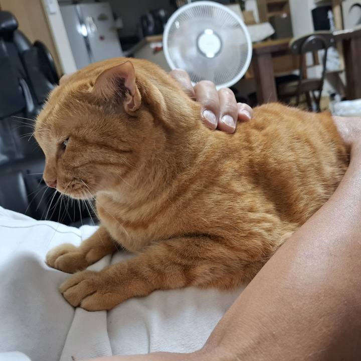 Af5c688f 6bcb 4b72 a8d3 838156a75598 1726276839076