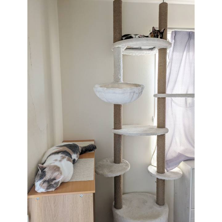 Af5c6a18 6407 4af6 967d 6eae4139908b 1694328216898