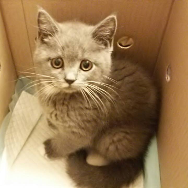 Af5c81da 3667 4efb b45e 9f2f6e9f3fef 1547178656877