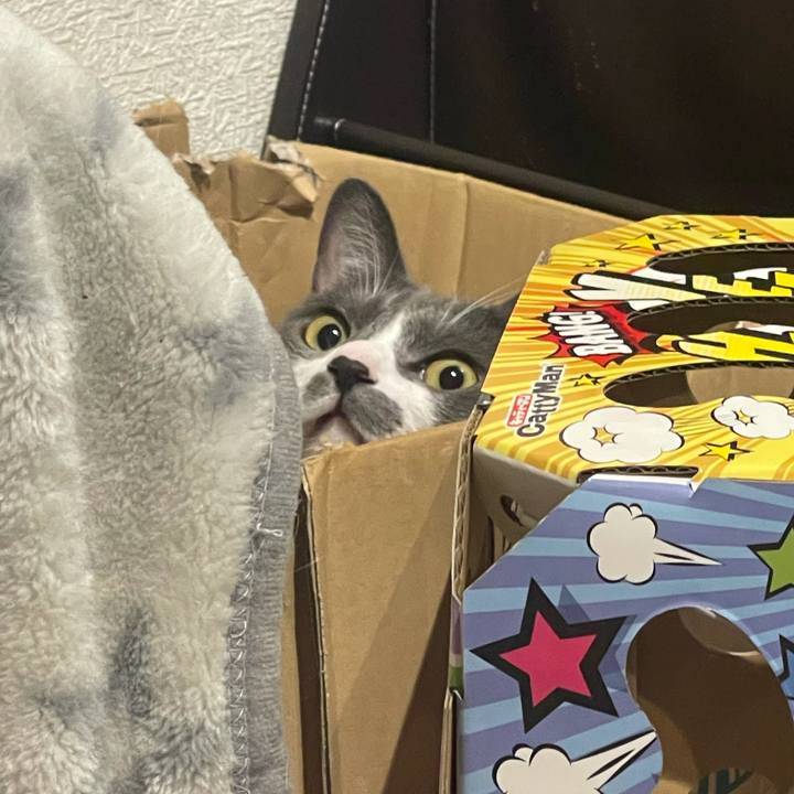 Af5ca5e6 0639 4299 848f e0e10e0d2c64 1629890977349