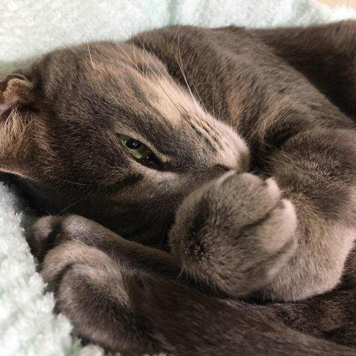 Af5caafd b11b 4fbe bbb4 1d5bb102498a 1590227569408