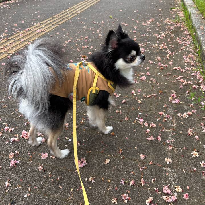 Af5cd8ca 5d3f 4cb9 97b6 e8878d7aa19d 1745167256142