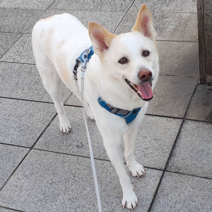 Af5cddfa 73c0 4764 a9cb e0fc4df2f3c3 1648615509513